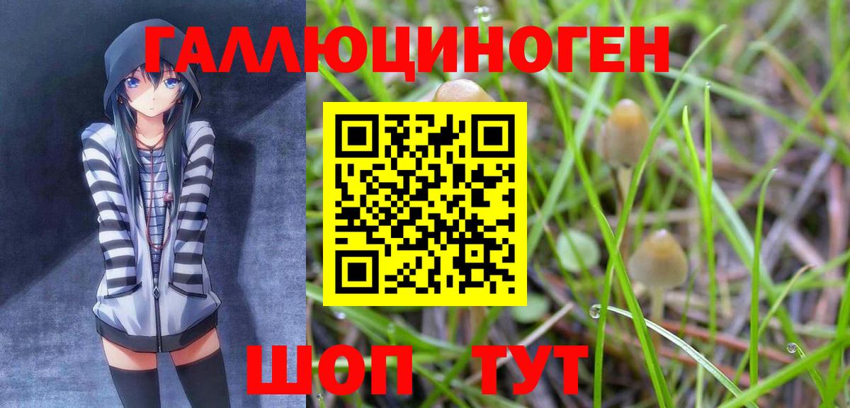 Псилоцибиновые грибы ЛСД  Вход с VPN  где купить наркоту  Кулебаки 
